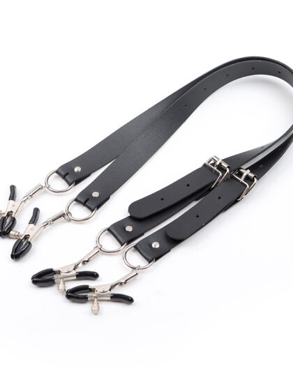 Labia Clamps Clitoral Clamps Genital Training Torture Devices